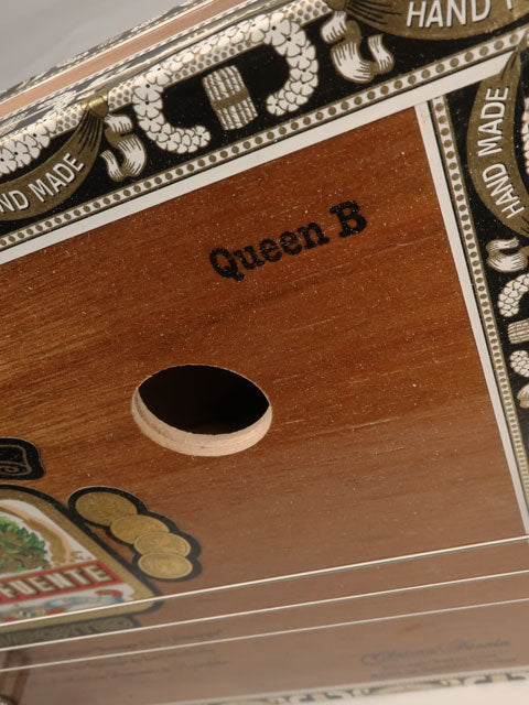 Queen B Humbucker 3 String Cigar Box Guitar CBG #2550